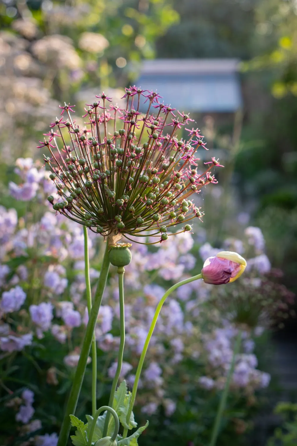 terrassement tremereuc